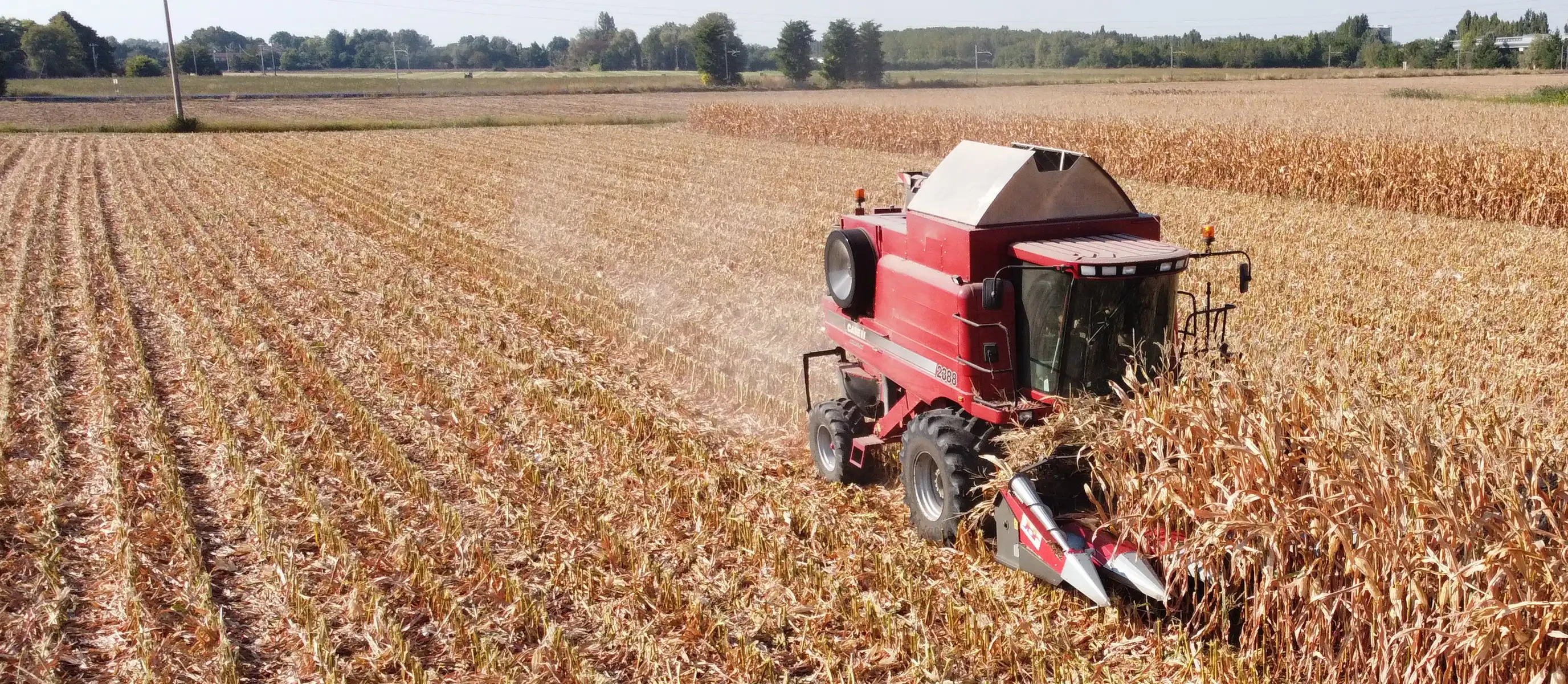 Campi coltivati dell'Azienda Agricola Morselli